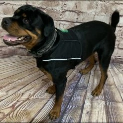Custom Logo/Text Service Dog Starter Cape W/ Zipper Pockets 17 Custom Logo/Text Service Dog Starter Cape W/ Zipper Pockets -Agility Shop 707511 7 full 23137.1644616429