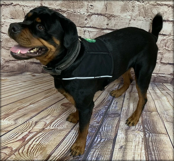 Custom Logo/Text Service Dog Starter Cape W/ Zipper Pockets 9 Custom Logo/Text Service Dog Starter Cape W/ Zipper Pockets - Image 9