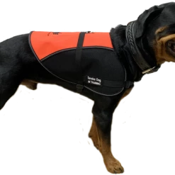 Custom Logo/Text Service Dog Vest - Hybrid Mesh Vest -Agility Shop 707512 5 full 56292.1644616554