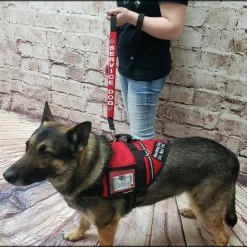 Service Dog Identification Leash Wrap -Agility Shop 707515 3 full 10583.1638911525