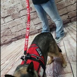 Service Dog Identification Leash Wrap Set + Free Leash 15 Service Dog Identification Leash Wrap Set + Free Leash -Agility Shop 707516 7 full 54335.1638911508