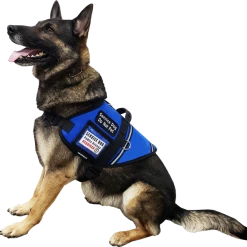 Custom Logo S&R Style Vest 14 Custom Logo S&R Style Vest -Agility Shop 707517 6 27050.1646168463