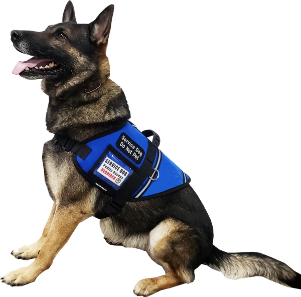 Custom Logo S&R Style Vest 5 Custom Logo S&R Style Vest - Image 5