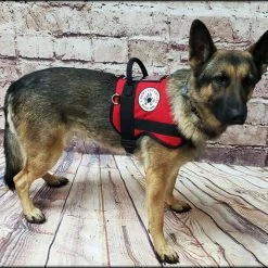Custom Logo Service Dog Form Fitted Active Cut Vest -Agility Shop 707519 3 full 91211.1638911489