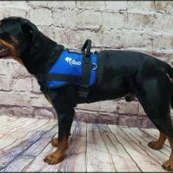 Custom Logo Service Dog Form Fitted Active Cut Vest -Agility Shop 707519 5 full 12917.1638911493