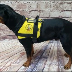 Custom Logo Service Dog Form Fitted Active Cut Vest -Agility Shop 707519 9 full 89819.1644616370