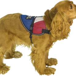 Patriotic Small Dog Mesh Vest -Agility Shop 7075221X full 20544.1638911500