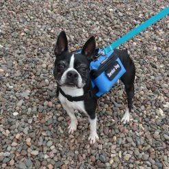 Small Dog Backpack Vest -Agility Shop 707524 15 full 79848.1638911457