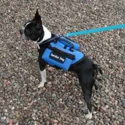 Small Dog Backpack Vest -Agility Shop 707524 16 full 62808.1638911462