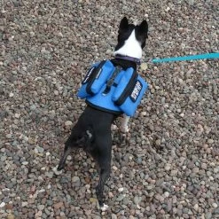 Small Dog Backpack Vest -Agility Shop 707524 17 full 02075.1638911460