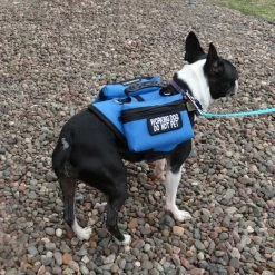 Small Dog Backpack Vest -Agility Shop 707524 18 full 88420.1638911446