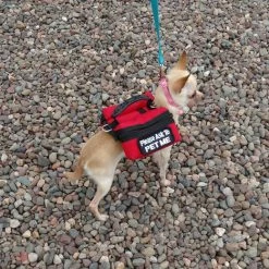 Small Dog Backpack Vest -Agility Shop 707524 20 full 23932.1638911451