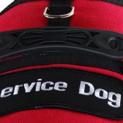 Small Dog Vest With Handle -Agility Shop 707525 6 full 13852.1638911527