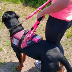 Mesh Vest With Handle & Clear ID Pocket -Agility Shop 707527 108 full 01956.1655118351