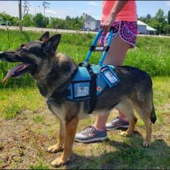 Mesh Vest With Handle & Clear ID Pocket -Agility Shop 707527 110 full 45313.1655118351