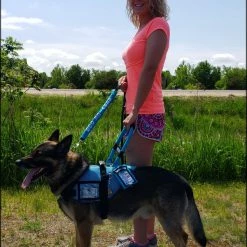 Mesh Vest With Handle & Clear ID Pocket -Agility Shop 707527 111 full 29707.1655118351