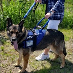 Mesh Vest With Handle & Clear ID Pocket -Agility Shop 707527 112 full 41006.1655118351