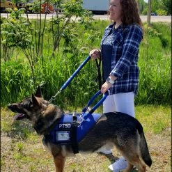 Mesh Vest With Handle & Clear ID Pocket -Agility Shop 707527 113 full 82254.1655118351