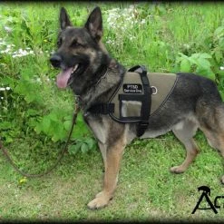 Mesh Vest With Handle & Clear ID Pocket -Agility Shop 707527 1 full 44725.1655118351