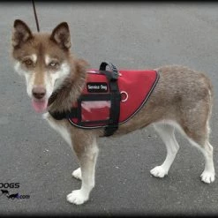 Mesh Vest With Handle & Clear ID Pocket -Agility Shop 707527 3 full 88830.1655118351