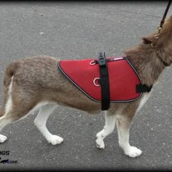 Mesh Vest With Handle & Clear ID Pocket -Agility Shop 707527 6 full 57026.1655118351