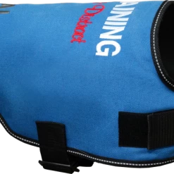 Dog In Training - Do Not Distract Jacket/Vest