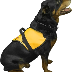 Custom Logo Padded Harness Vest -Agility Shop 707531 1 full 41838.1638911480