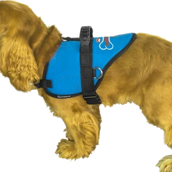 Custom Logo Padded Harness Vest -Agility Shop 707531 6 full 99759.1658343244