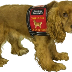 Custom Logo Cape Dog Vest 9 Custom Logo Cape Dog Vest -Agility Shop 707532 8 full 45438.1638911493