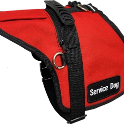 Padded Harness Vest With Zippered Pocket -Agility Shop 707534 102 full 91758.1638911488