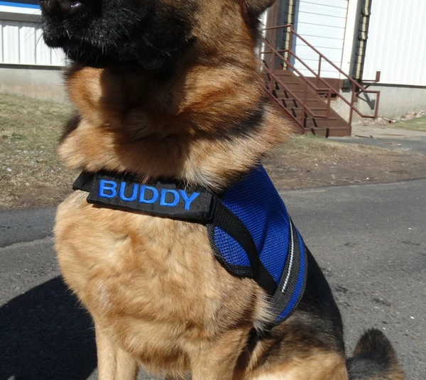 Custom Text Leash Wrap & Chest Strap Cover 2 Custom Text Leash Wrap & Chest Strap Cover - Image 2