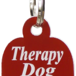 Small Dog Engraved ID Tag -Agility Shop 707544TD 3 full 69169.1638911400