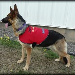 Service Dog Custom Do Not Distract Jacket/Vest -Agility Shop 707546 28 full 18077.1643828236