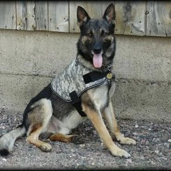 Service Dog Custom Do Not Distract Jacket/Vest -Agility Shop 707546 29 full 89820.1643828236