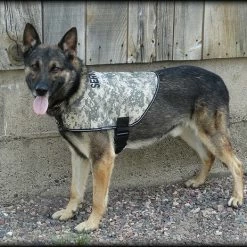Service Dog Custom Do Not Distract Jacket/Vest -Agility Shop 707546 30 full 02741.1643828236