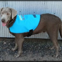 Service Dog Custom Do Not Distract Jacket/Vest -Agility Shop 707546 32 full 33891.1643828237