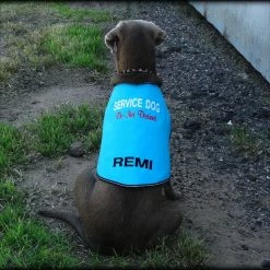 Service Dog Custom Do Not Distract Jacket/Vest -Agility Shop 707546 34 full 91141.1643828236