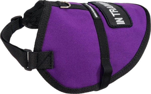 Padded Service Dog Vest - Sm/Med Dog 1 Padded Service Dog Vest - Sm/Med Dog