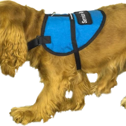 Padded Service Dog Vest - Sm/Med Dog 12 Padded Service Dog Vest - Sm/Med Dog -Agility Shop 707548 12 full 41297.1638911370