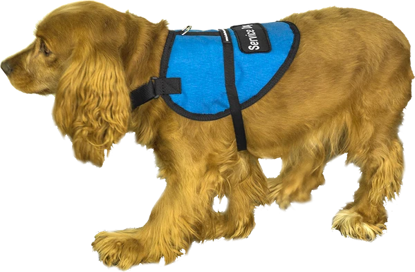 Padded Service Dog Vest - Sm/Med Dog 4 Padded Service Dog Vest - Sm/Med Dog - Image 4