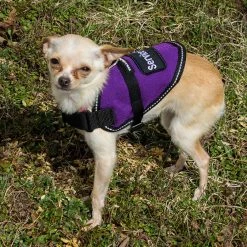 Reflective Padded Service Dog Vest - Sm/Med Dog -Agility Shop 707548REF 4 full 26877.1638911342