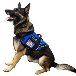 Service Dog S&R Style Vest -Agility Shop 707549 205 full 09648.1650884512