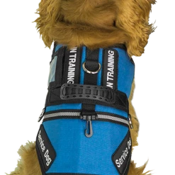 Service Dog S&R Style Vest -Agility Shop 707549 7a full 88659.1650884512