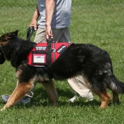 Service Dog S&R Style Vest -Agility Shop 707549 9 full 82040.1650884512