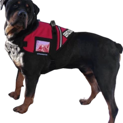 Service Dog S&R Style Vest -Agility Shop 707549XLG 3 full 99691.1650884512