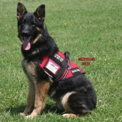 Service Dog S&R Style Vest -Agility Shop 707549 full 86021.1650884512