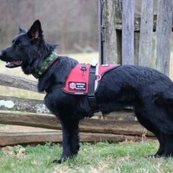 Padded Harness Service Dog Vest 25 Padded Harness Service Dog Vest -Agility Shop 707551 19 full 31513.1655725306