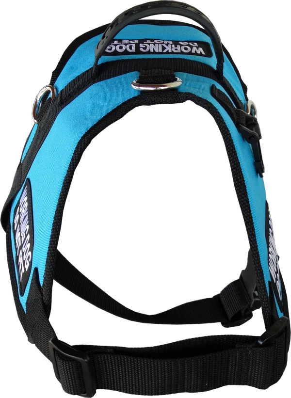 Padded Harness Service Dog Vest 16 Padded Harness Service Dog Vest - Image 16