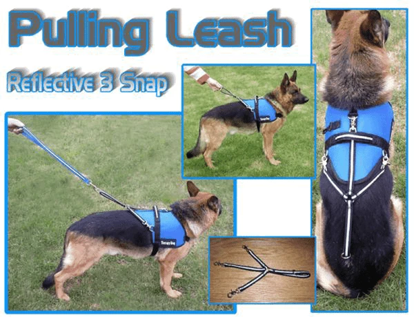 Reflective 3 Snap Pulling Leash 2 Reflective 3 Snap Pulling Leash - Image 2