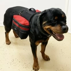 Service Dog Day Trip Pack Bag Harness Vest 21 Service Dog Day Trip Pack Bag Harness Vest -Agility Shop 7075529 207 full 31949.1638911337